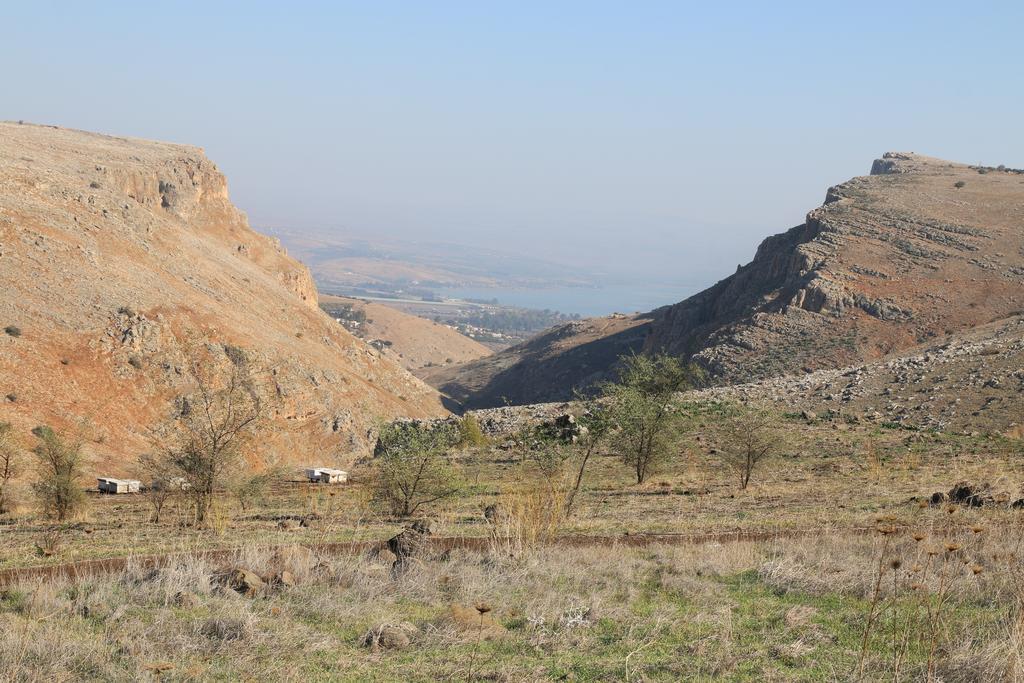 Switzerland In The Arbel Guest House ห้อง รูปภาพ