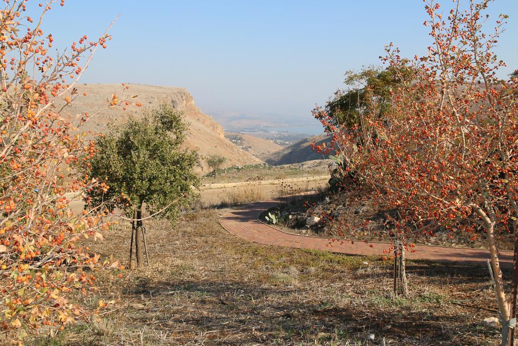 Switzerland In The Arbel Guest House ภายนอก รูปภาพ